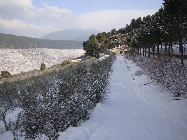 Agriturismo Istrice Innamorato Campello sul Clitunno Extérieur photo